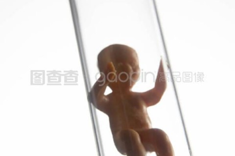 http://kunming.nbgk120.com/post/198.html|昆明捐卵价格