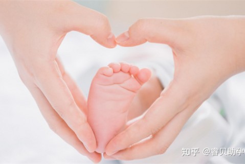 http://kunming.nbgk120.com/post/217.html|昆明供卵助孕