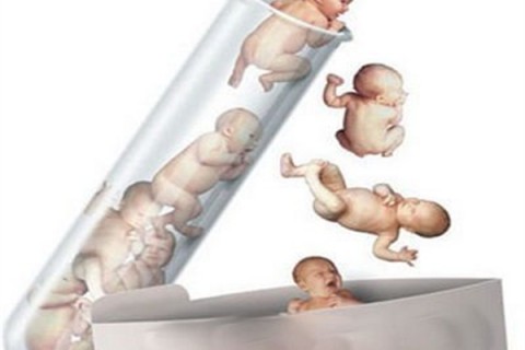http://kunming.nbgk120.com/post/221.html|昆明捐卵价格